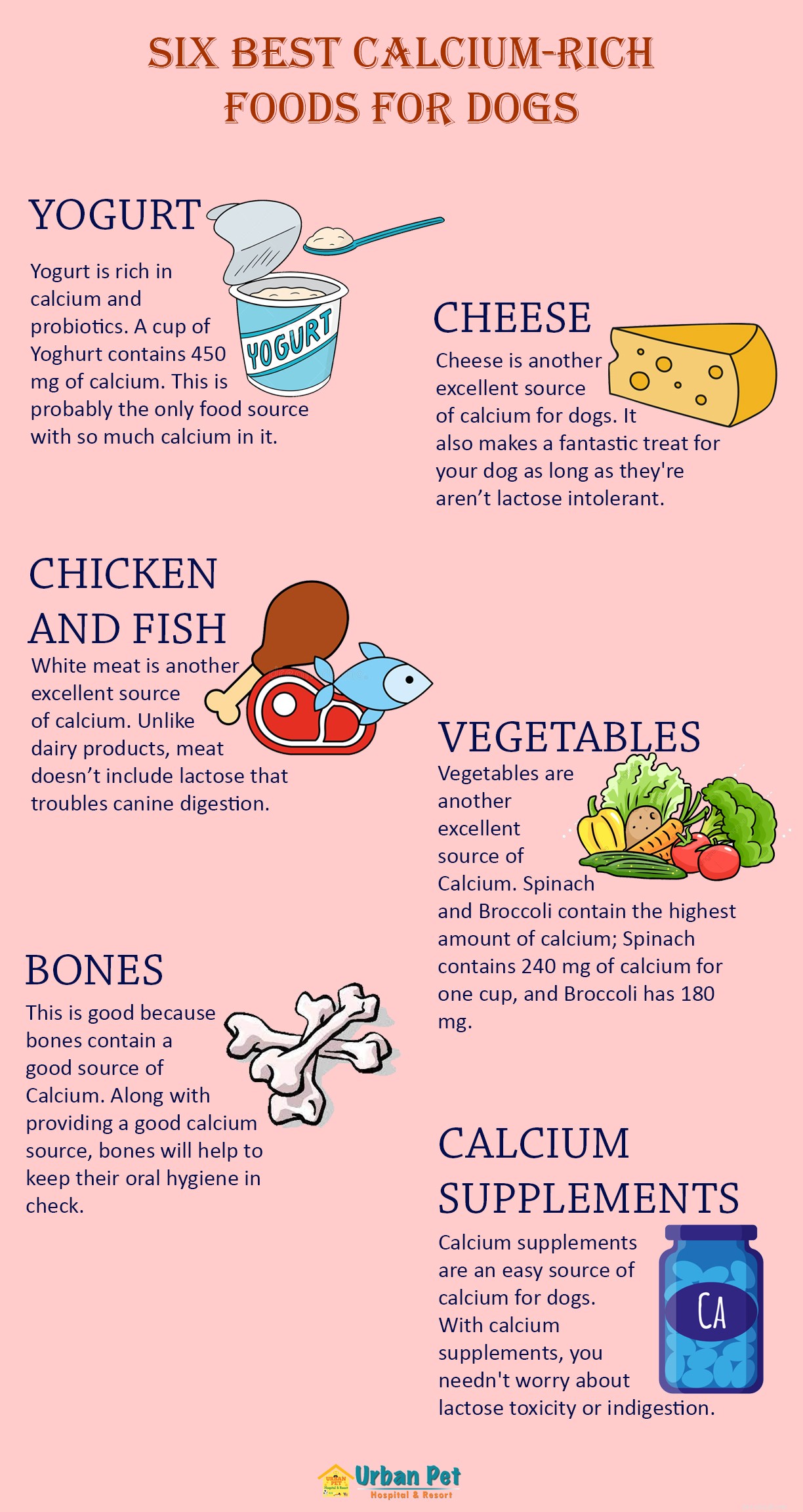 Six meilleurs aliments riches en calcium pour chiens