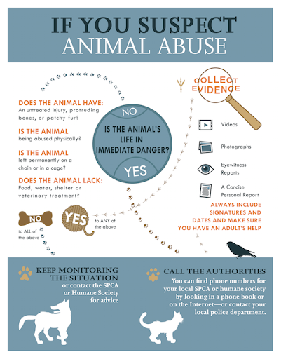 Importance des droits des animaux
