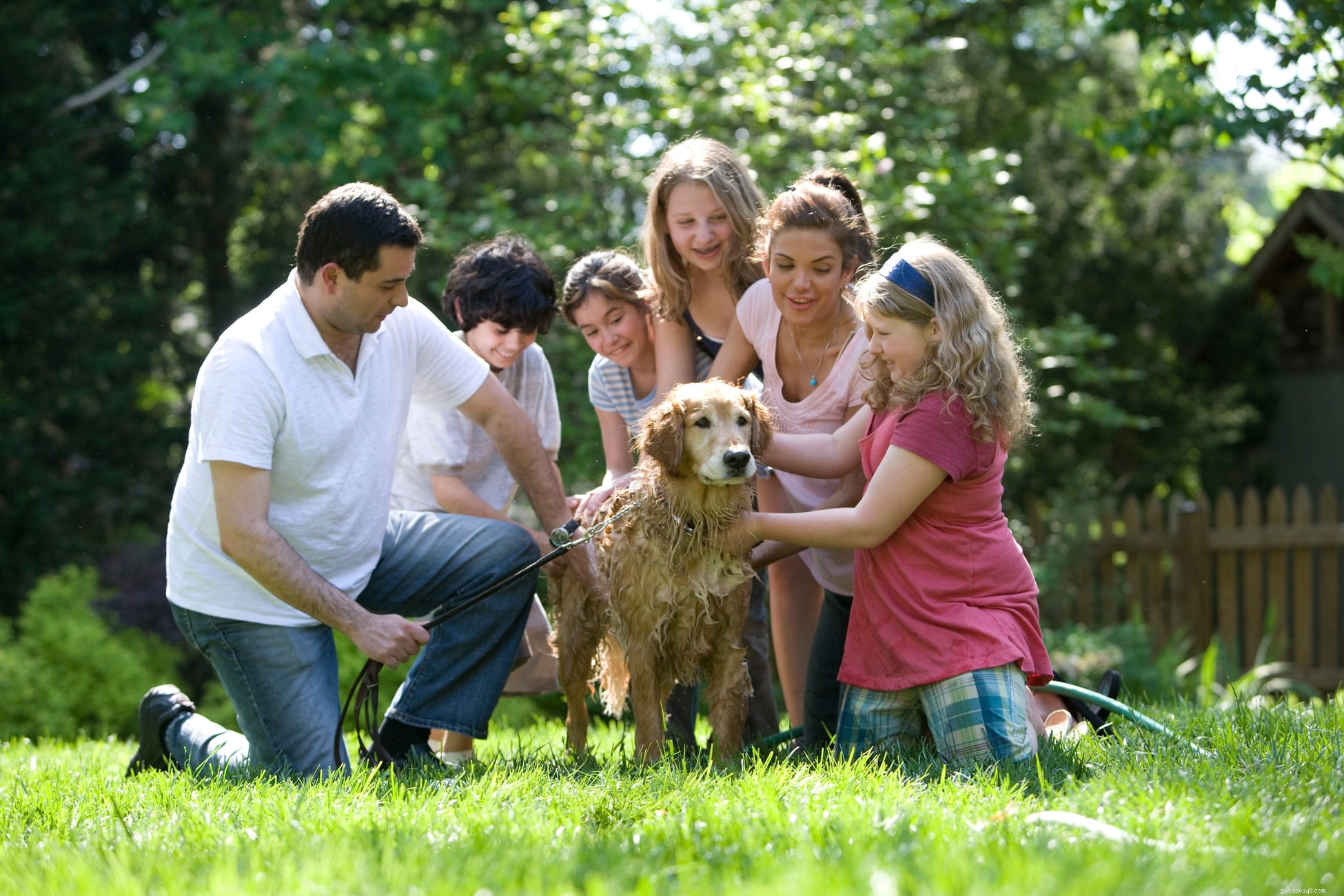 10 забавных занятий на свежем воздухе для собаки и владельца