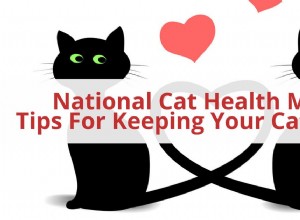 Národní měsíc zdraví koček