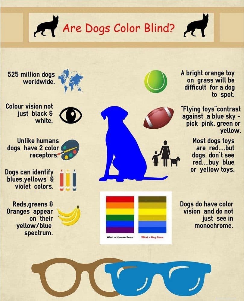 Je váš pes barvoslepý?