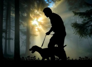 Dia Nacional do Cão de Visão