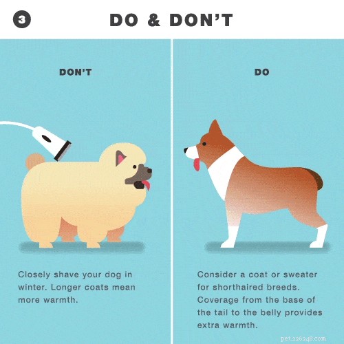 Grooming for Dogs