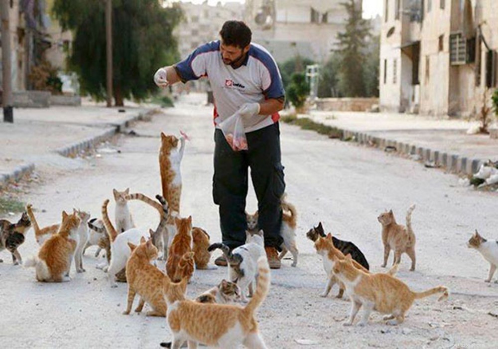 シリアの戦争地帯から1000匹のペットを救った活動家 