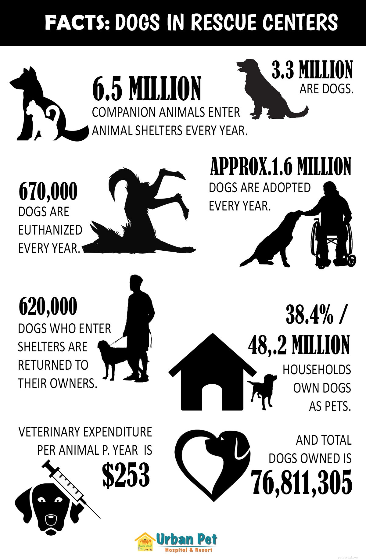 Hoe vier je de Internationale Hondendag