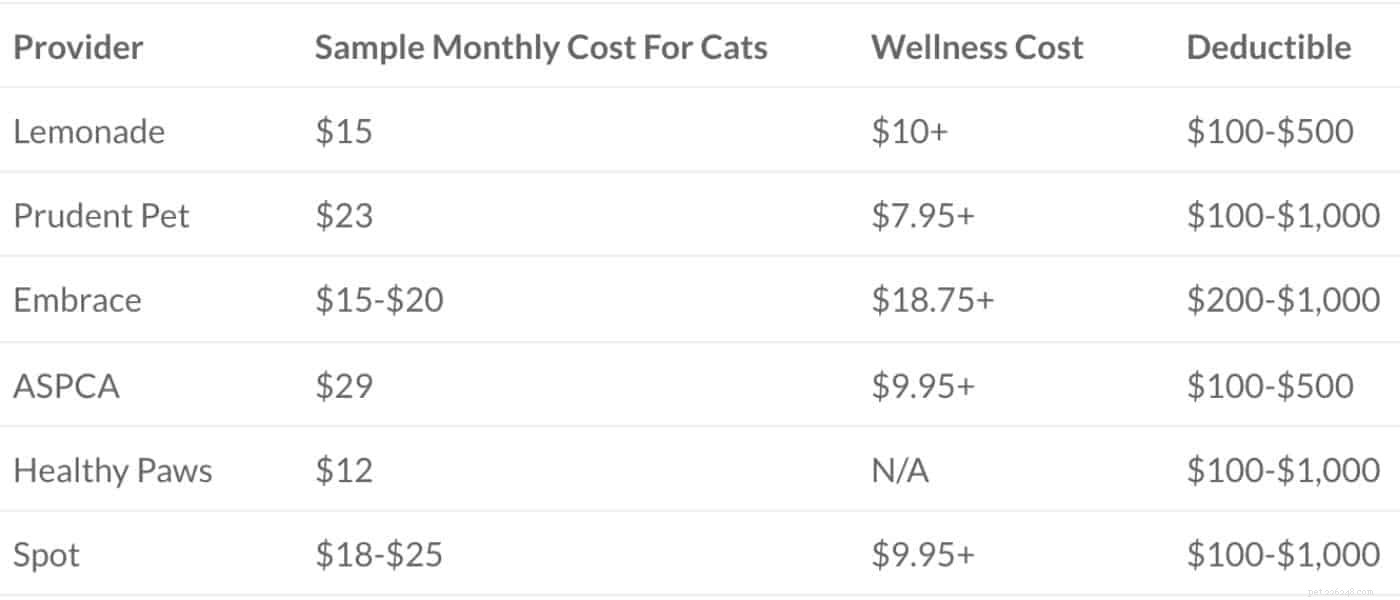 Kosten voor huisdierenverzekering:de definitieve gids