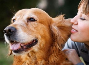 Over  babypraat  praten met honden