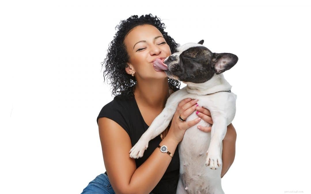 Snellville dierenoppas vertelt waarom hondenkusjes misschien niet het beste idee zijn voor je gezondheid