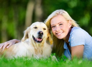 WAAROM JE EEN PROFESSIONELE DIERENZITTER MOET INHUREN