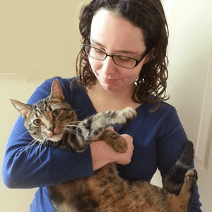 Snellville Cat Sitterは、約5つの一般的な猫の症状とその意味を書いています 