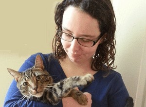 Snellville Cat Sitter schrijft over 5 veelvoorkomende kattensymptomen en wat ze betekenen