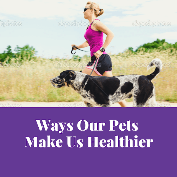 Manieren waarop onze huisdieren ons gezonder maken