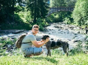 Как быть хорошим родителем домашнего питомца