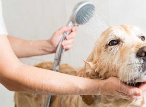 Fouten die ouders maken tijdens het baden