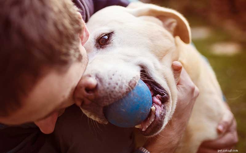애완동물 돌보기 101 – 훌륭한 애완동물 돌보기가 되기