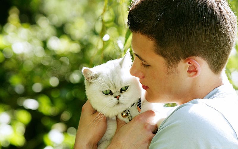 7 razões pelas quais amamos gatos