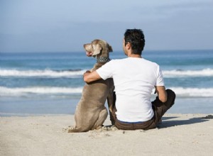 Conseils de sécurité pour savoir quoi faire après le passage d un ouragan