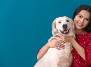 Honden en gezondheidsvoordelen