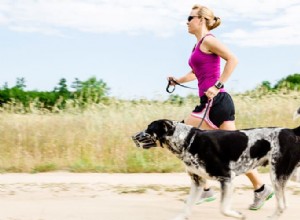 Coaching voor gewichtsverlies voor honden