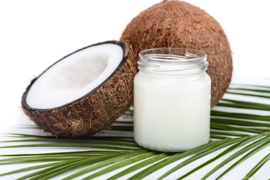 Katter och kokosnötsolja – vad du behöver veta