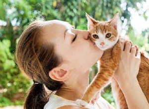Vlastnictví koček s alergií na kočky