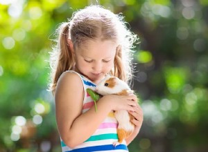 Les meilleurs animaux de compagnie pour les enfants d âge préscolaire et primaire