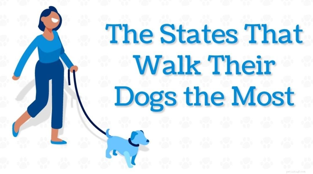 各州の犬の歩行習慣の分析 