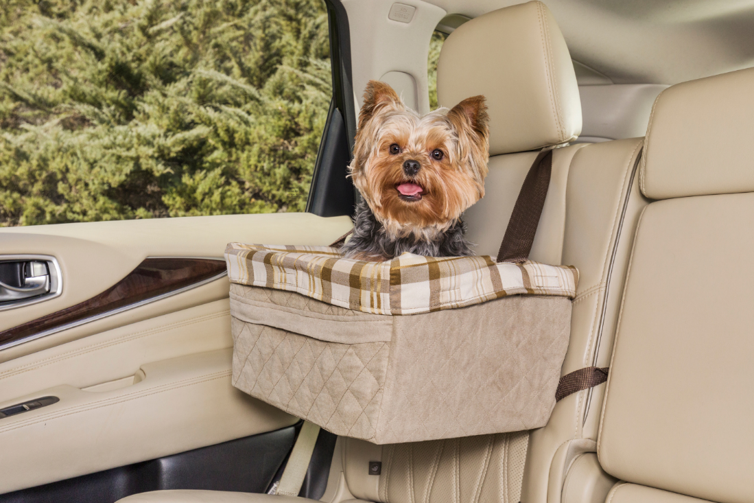 Suggerimenti per viaggiare con animali domestici per cani e gatti in auto