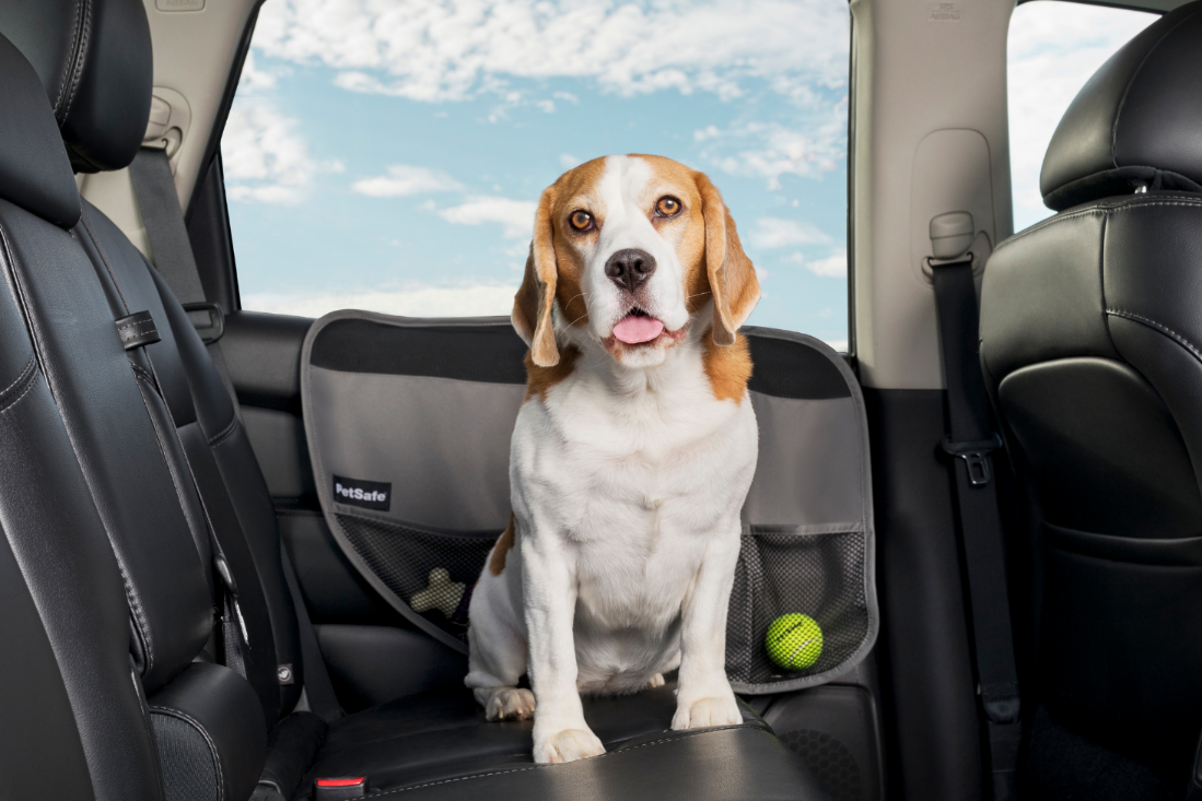 자동차로 개와 고양이를 위한 애완동물 여행 팁