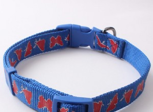 Dog Collar Factory Direct:O que é serigrafia-QQpets?