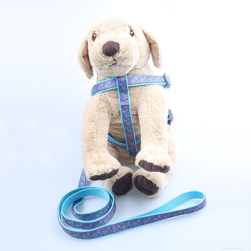 Usine de harnais pour chien :comment utiliser correctement le harnais pour chien pour chiens-QQpets ?