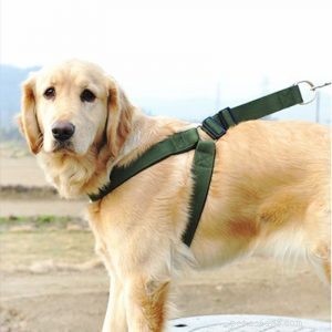 Fabrikstillbehör för hundsele:Vad är hundsele gjord av -QQpets?