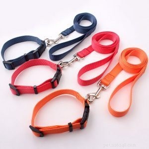Fournitures d usine de colliers et laisses pour chiens :combien de types de colliers et laisses pour chiens produits par QQpets ?