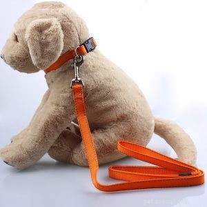 강아지 목걸이 및 목줄 공장 용품:QQpets의 개 목걸이 및 목줄 제품의 종류는 몇 가지입니까?