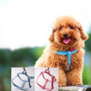 Hundhalsband Factory:Är hundselar bättre än hundhalsband-qqpets?