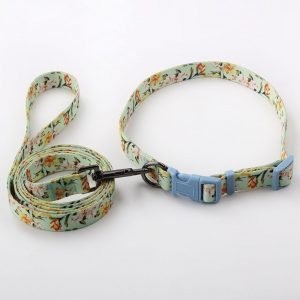Fournisseur de colliers et de laisses pour chiens :Vous souhaitez personnaliser vos propres colliers et laisses pour chiens - QQpets ?