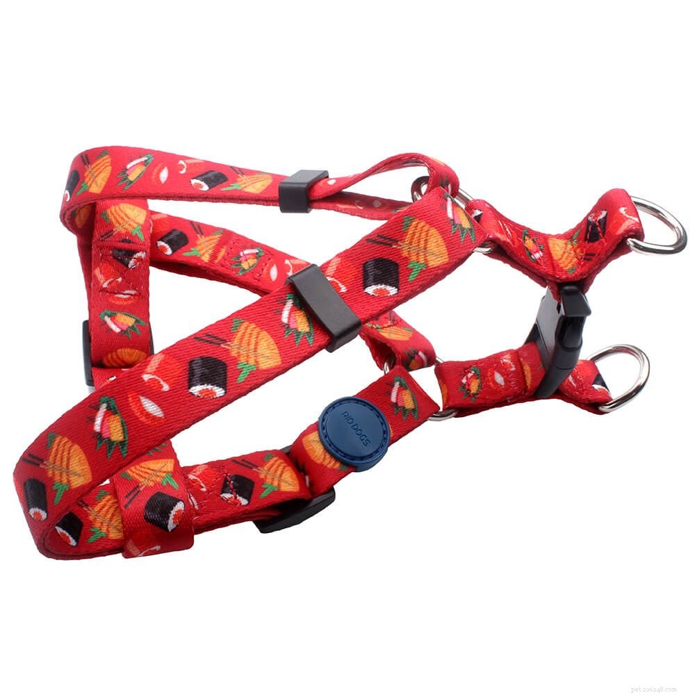 Dog Collars Harnesses Leashes Factory:Qui suis-je?-qqpets 