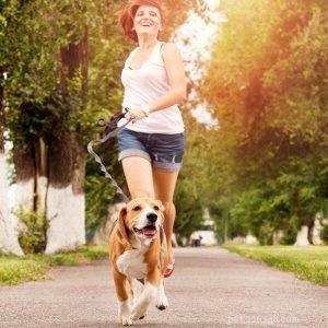 ランニングドッグリーシュファクトリー：あなたはあなたの犬と一緒に走っていますか-qqpets？ 
