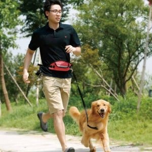Továrna na vodítka pro běžce:Běháte se svými psy-qqpets?