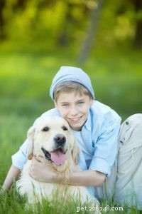 Fournisseurs de colliers pour chiens nommés :conseils sur la façon de nommer vos chiens-qqpets ?