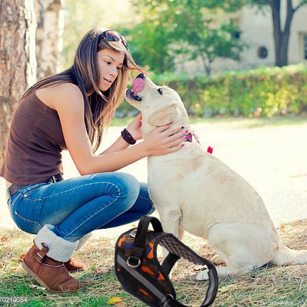 Dodávka postrojů pro masážní psy:Nejnovější polstrovaný postroj pro psy public-QQpets