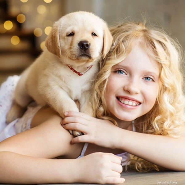 Conseils de race :quel type de chien convient le mieux aux familles ?-qqpets