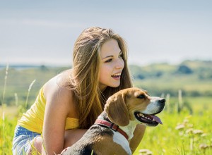 Filmes de cachorros:se você acredita ou não, você vai se emocionar com esses filmes de cachorros-qqpets 