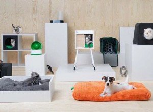 Você sabia que já pode comprar móveis para animais de estimação na IKEA?-qqpets