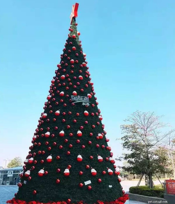 Feliz Natal!! Você já viu uma árvore de Natal assim?-QQPETS