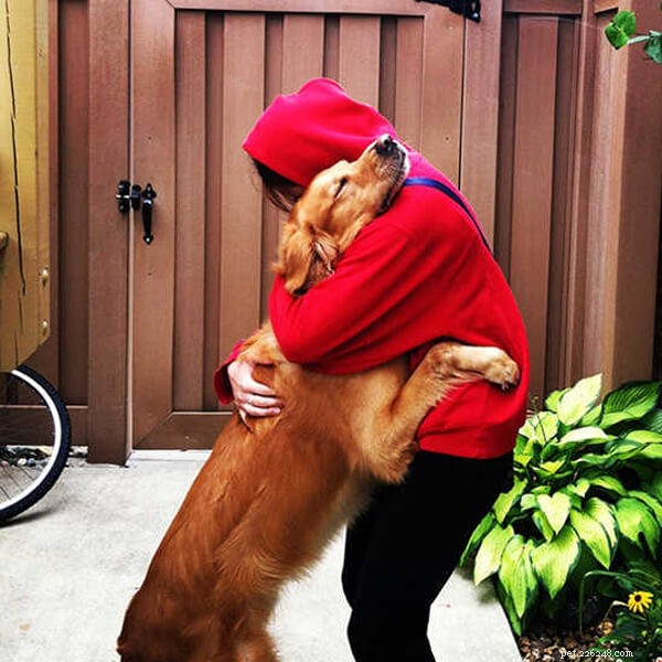 Vet du varför hundar inte gillar kramar?-QQPETS