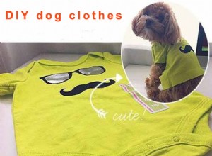 DIY 애완 동물 용품:애완 동물을 위한 개 목걸이, 애완 동물 옷 만들기-QQPETS