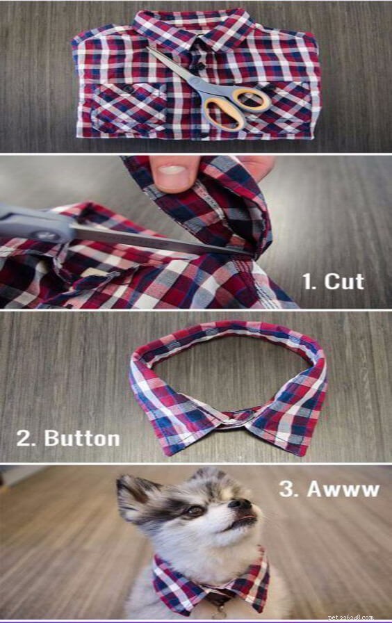 DIY Dierenbenodigdheden:Maak een hondenhalsband, hondenkleding voor je huisdier-QQPETS