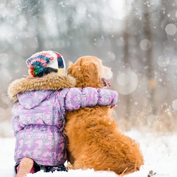 6 Conseils :Comment bien s occuper de son animal en hiver ?-QQPETS