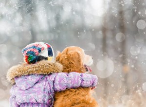 6 Dicas:Como cuidar bem do seu pet no inverno?-QQPETS 